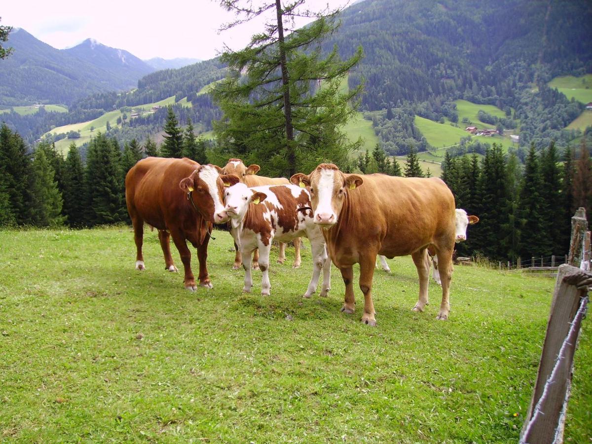 Mittergruberhof Bed & Breakfast Schladming Dış mekan fotoğraf